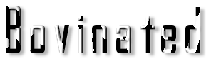 Rendered Image