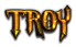 TROY Logo Style