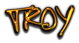 TROY Logo Style