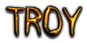 TROY Logo Style