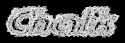 Rendered Image