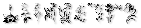 Rendered Image