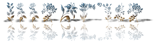 Rendered Image