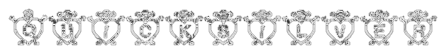 Rendered Image