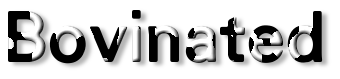 Rendered Image