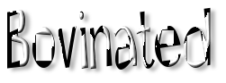 Rendered Image