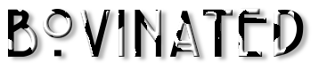 Rendered Image