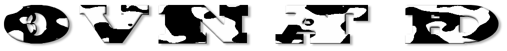 Rendered Image