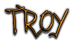 TROY Logo Style