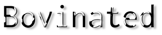 Rendered Image