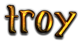 TROY Logo Style