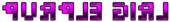 PURPLE GIRL Logo Style