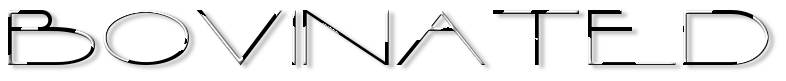 Rendered Image