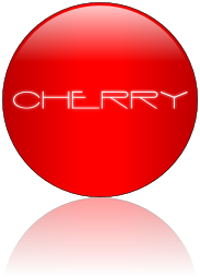 Rendered Image