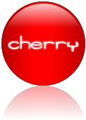 Rendered Image