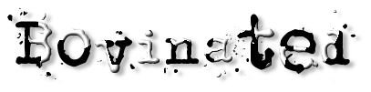 Rendered Image