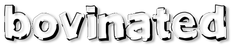 Rendered Image