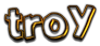 TROY Logo Style