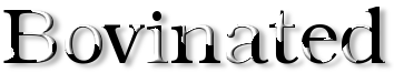 Rendered Image