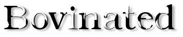 Rendered Image