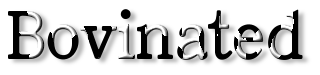Rendered Image