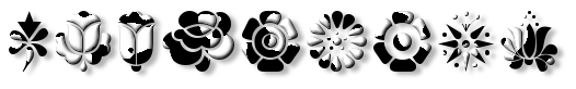 Rendered Image