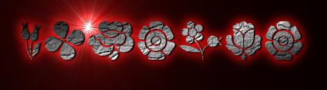 Rendered Image