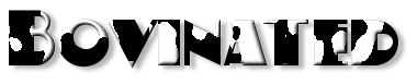 Rendered Image
