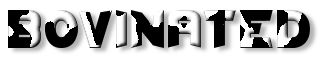 Rendered Image