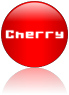 Rendered Image