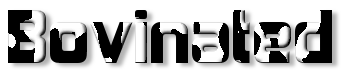 Rendered Image