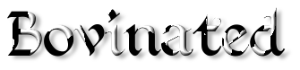 Rendered Image