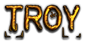 TROY Logo Style