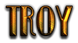 TROY Logo Style