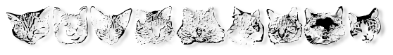 Rendered Image