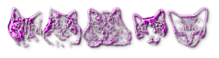 Rendered Image