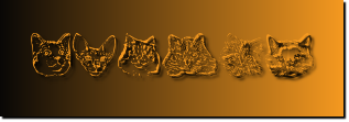 Rendered Image