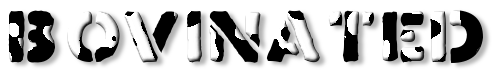 Rendered Image