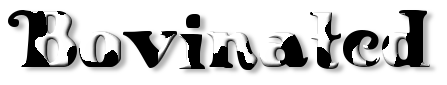 Rendered Image
