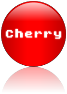Rendered Image