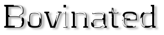 Rendered Image