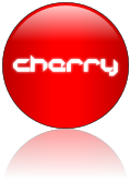 Rendered Image