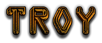 TROY Logo Style