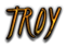 TROY Logo Style