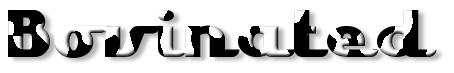 Rendered Image