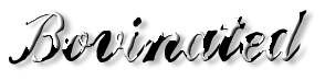 Rendered Image