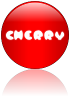 Rendered Image