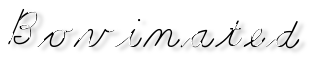 Rendered Image