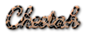 Rendered Image