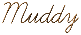 Rendered Image